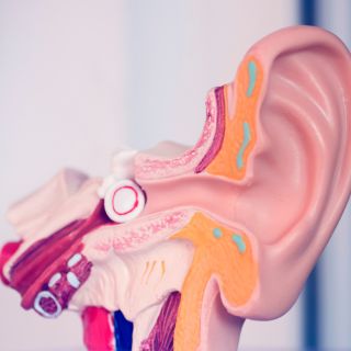 Schutz des Innenohrs